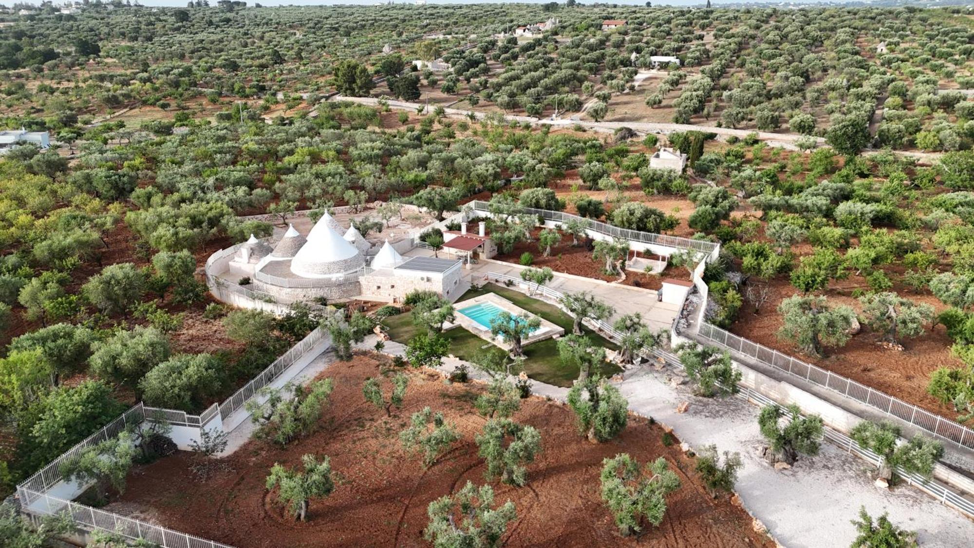 Trulli Lisanna - Exclusive Private Pool And Rooms Up To 10 People Antonelli Buitenkant foto